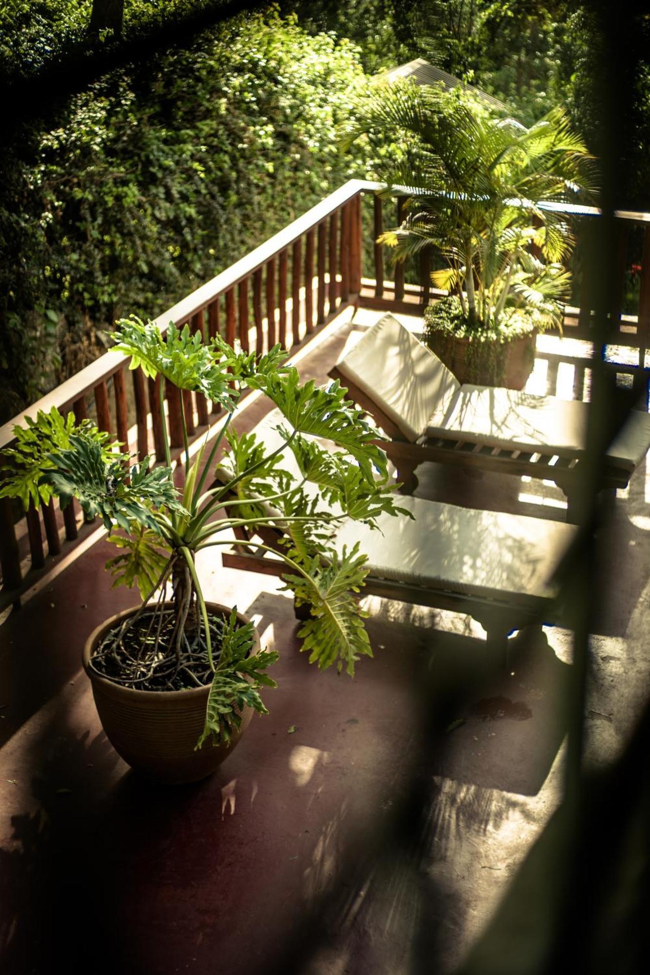 Onsea House & Machweo Retreat Villa Nkoanrua Eksteriør billede